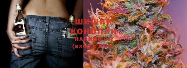шишки Аша