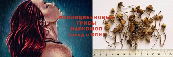 винт Нефтегорск